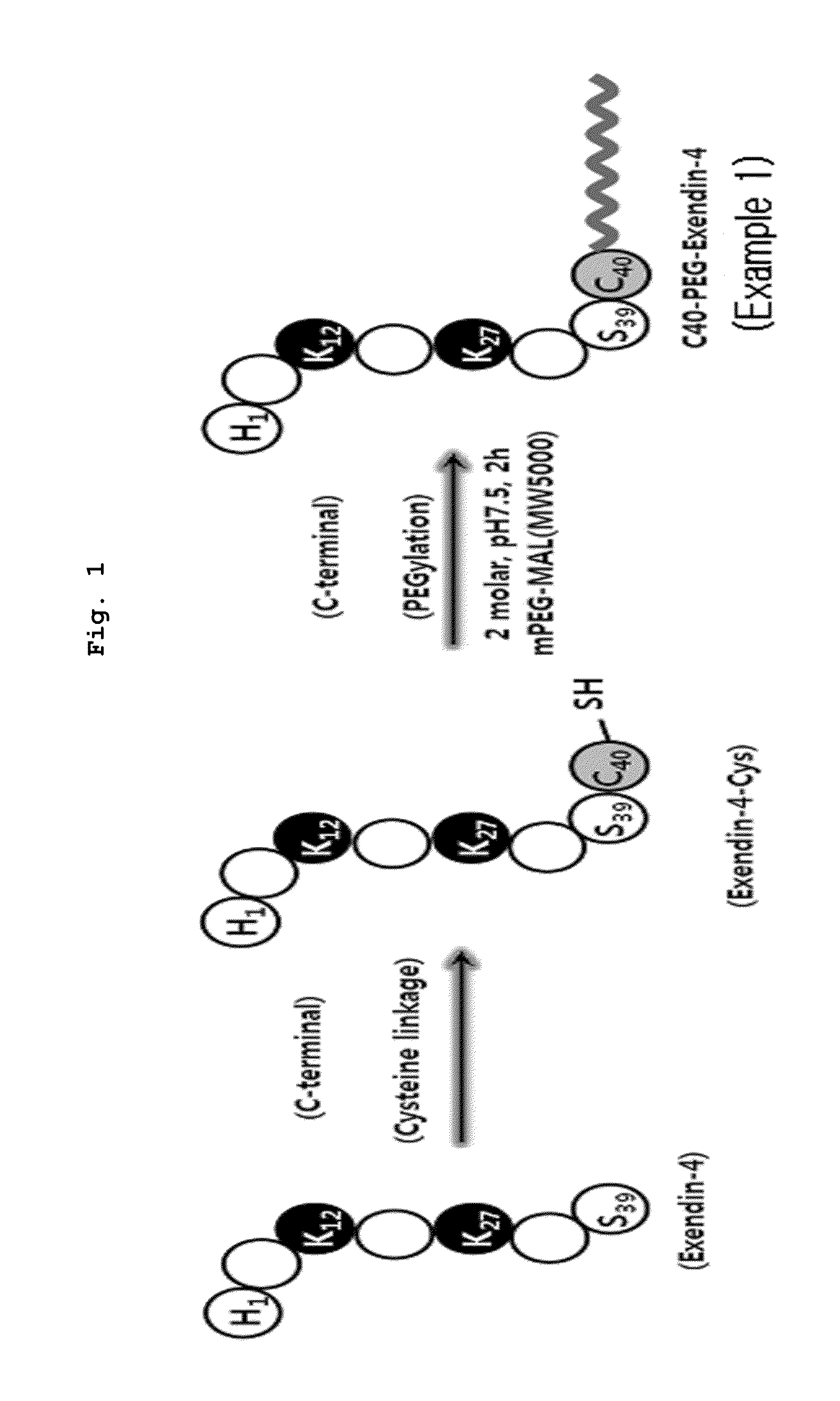 Exendin-4 analogue pegylated with polyethylene glycol or derivative thereof, preparation method thereof, and pharmaceutical compostion for preventing or treating diabetes, containing same as active ingredient