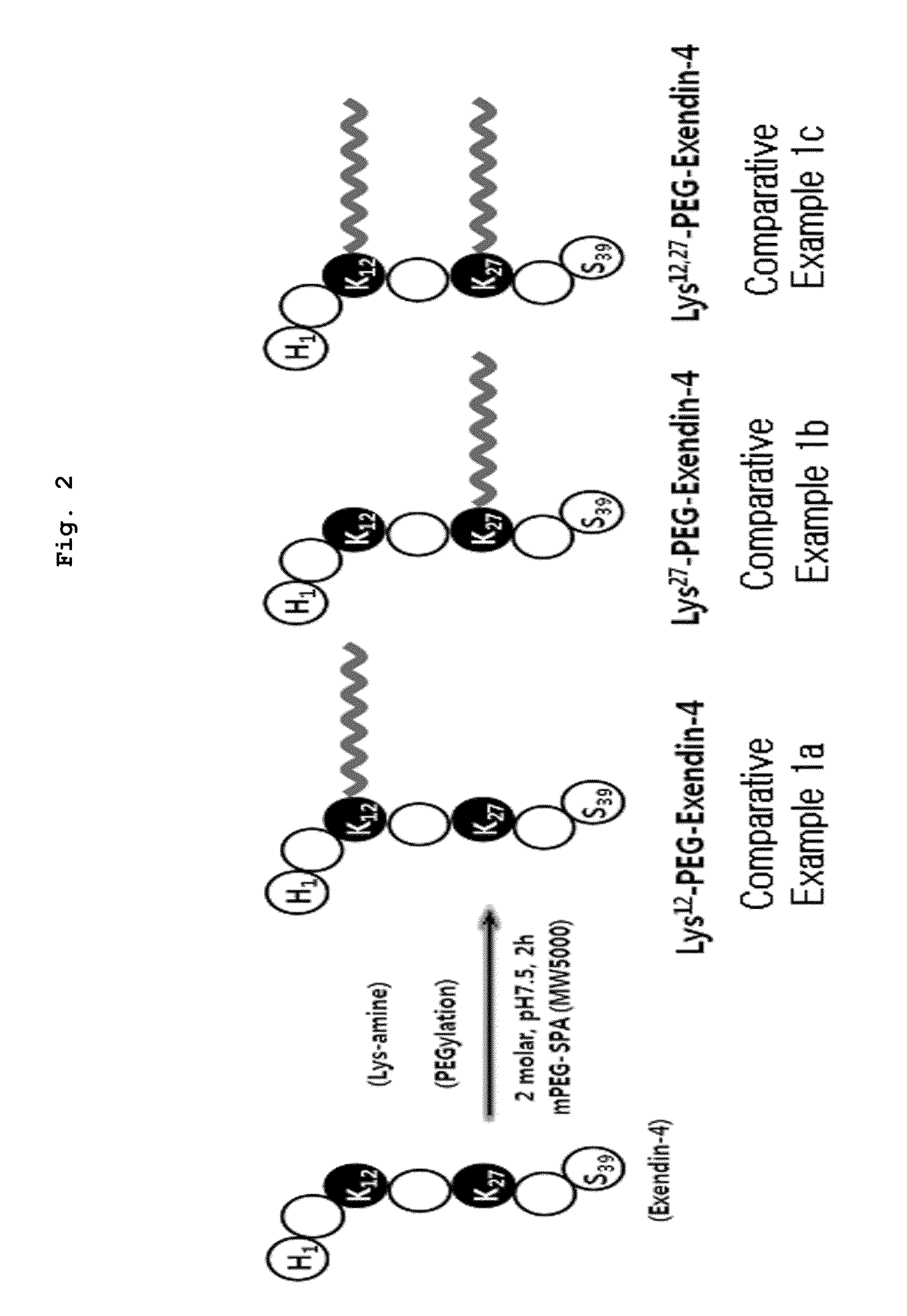 Exendin-4 analogue pegylated with polyethylene glycol or derivative thereof, preparation method thereof, and pharmaceutical compostion for preventing or treating diabetes, containing same as active ingredient