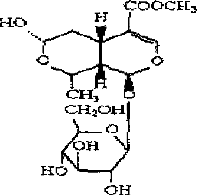 Preparation method of morroniside and new use thereof