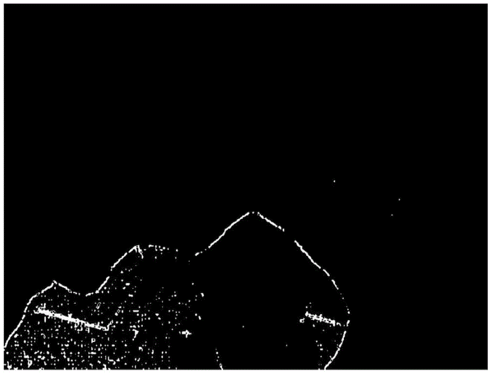 Spliced image-tamper detection method based on color filter array characteristic