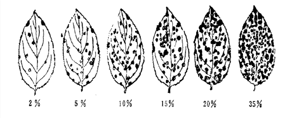 Preparation method of plant immune protein