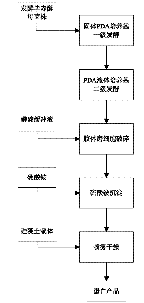 Preparation method of plant immune protein