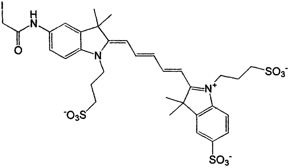 Synthesis method of pentamethine cyanine dye for mercapto labeling