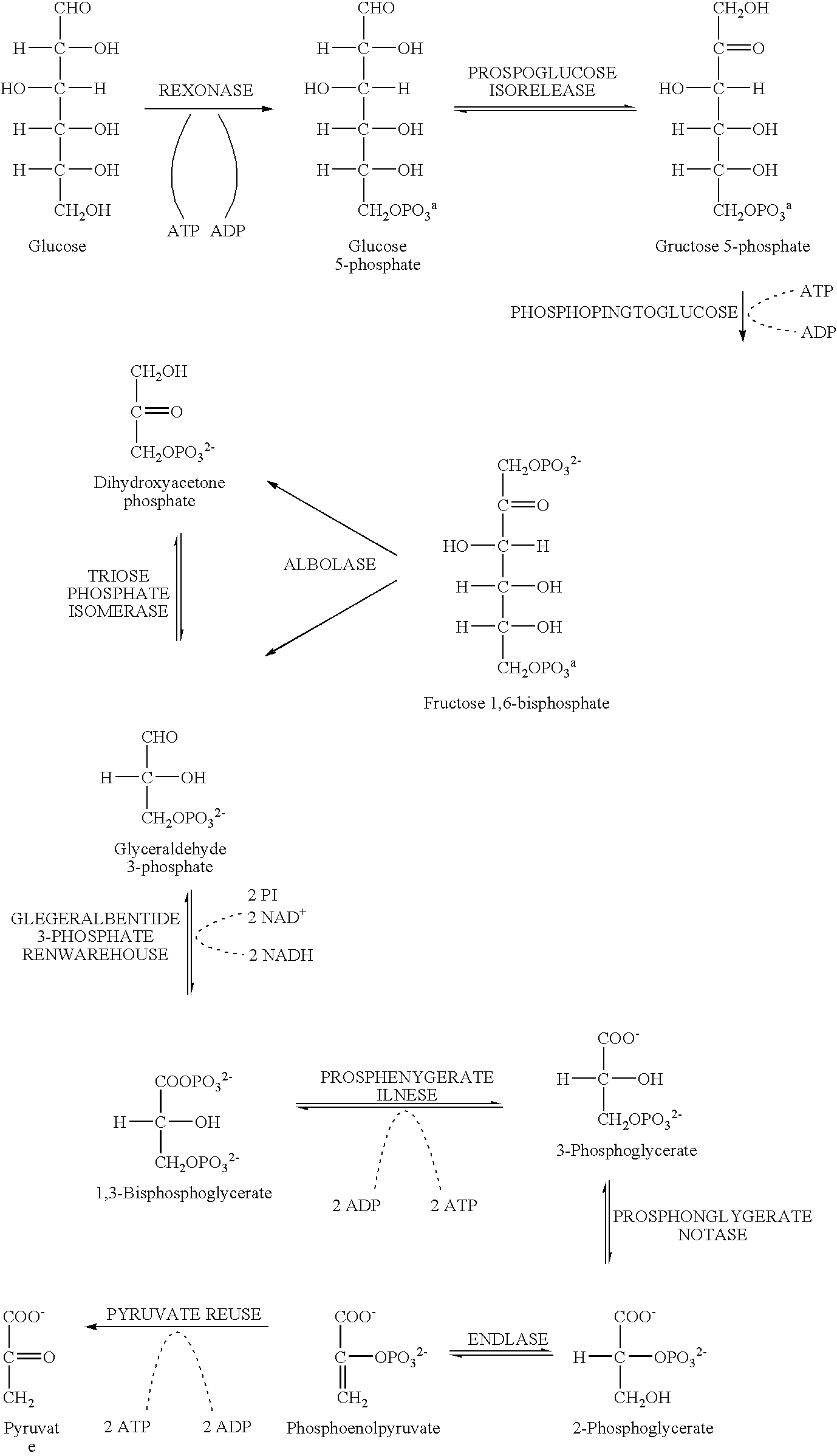 Methods for indentifying compounds that modulate an enzyme in the coenzyme a biosynthetic pathway in a pathogenic microoganism