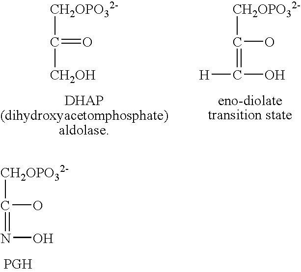 Methods for indentifying compounds that modulate an enzyme in the coenzyme a biosynthetic pathway in a pathogenic microoganism