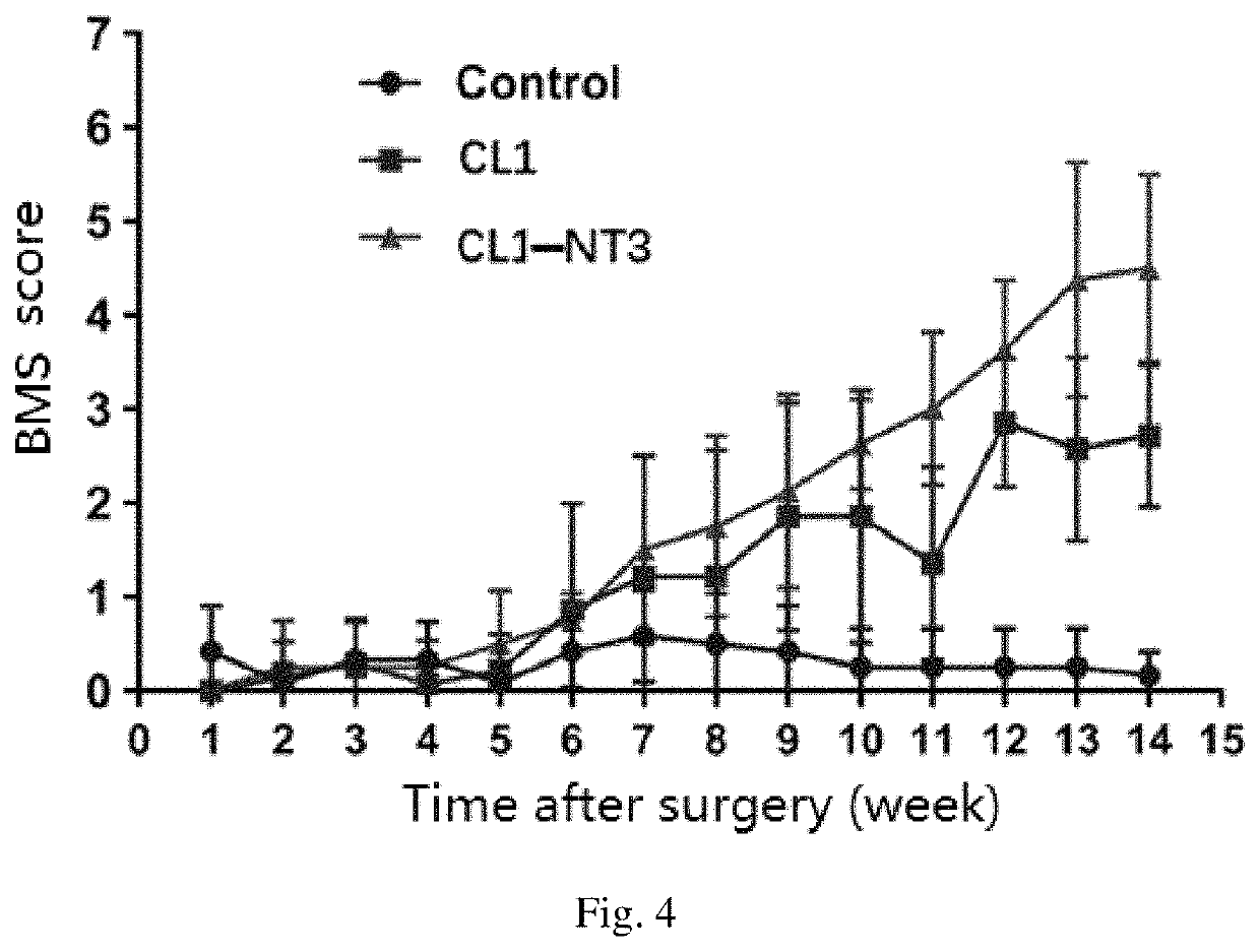 Nano-layered dual hydroxide-biological factor combined system for promoting nerve regeneration to repair spinal cord injury