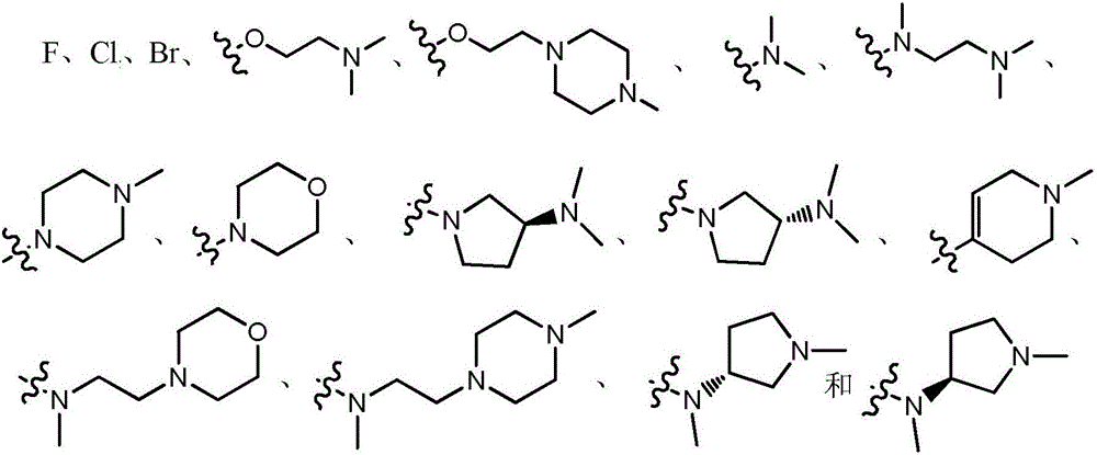 Quinazoline, pyridopyrimidine or pyrimidopyrimidine derivative epidermal growth factor inhibitor and preparing method and application thereof