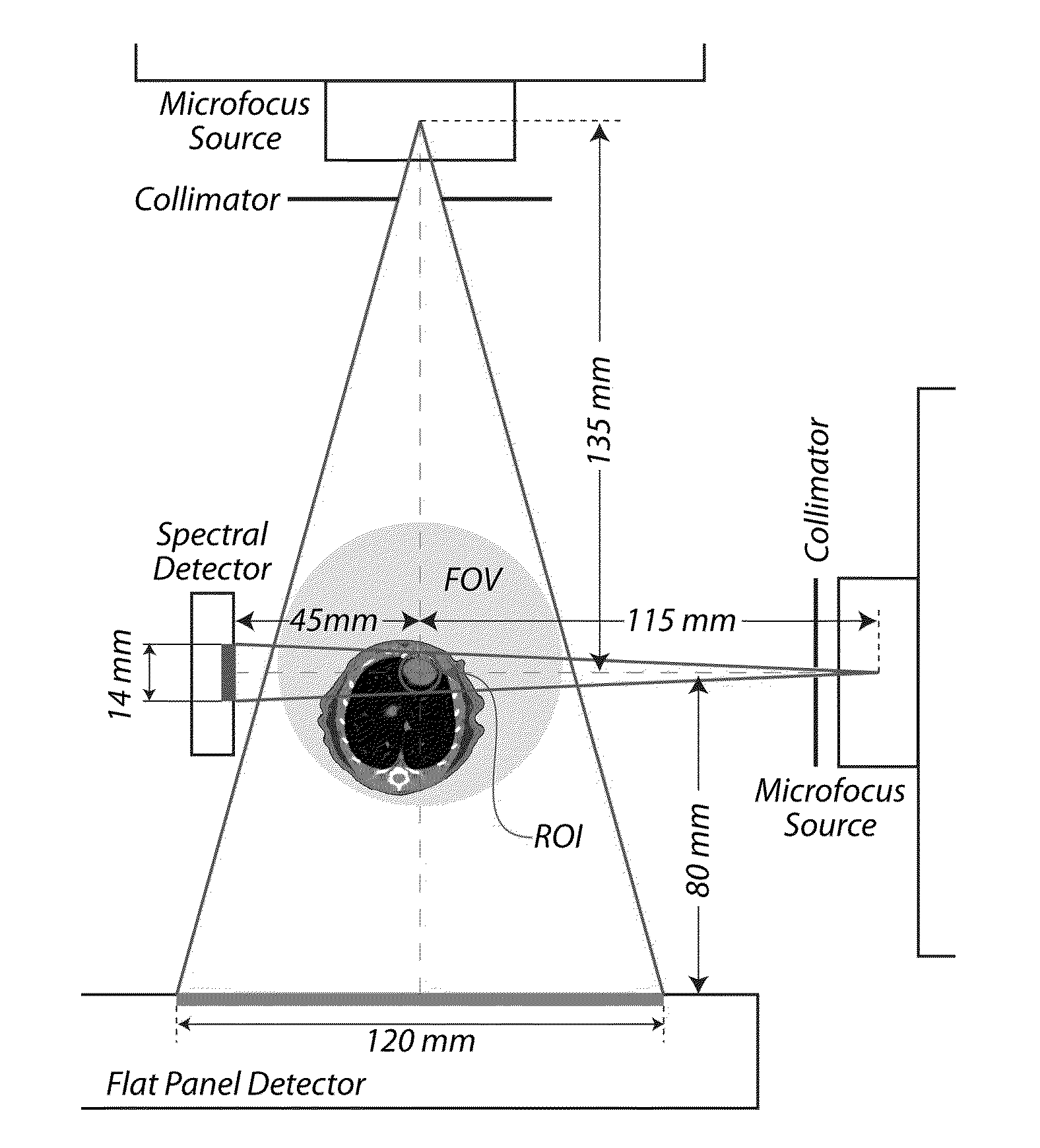 Extended interior methods and systems for spectral, optical, and photoacoustic imaging