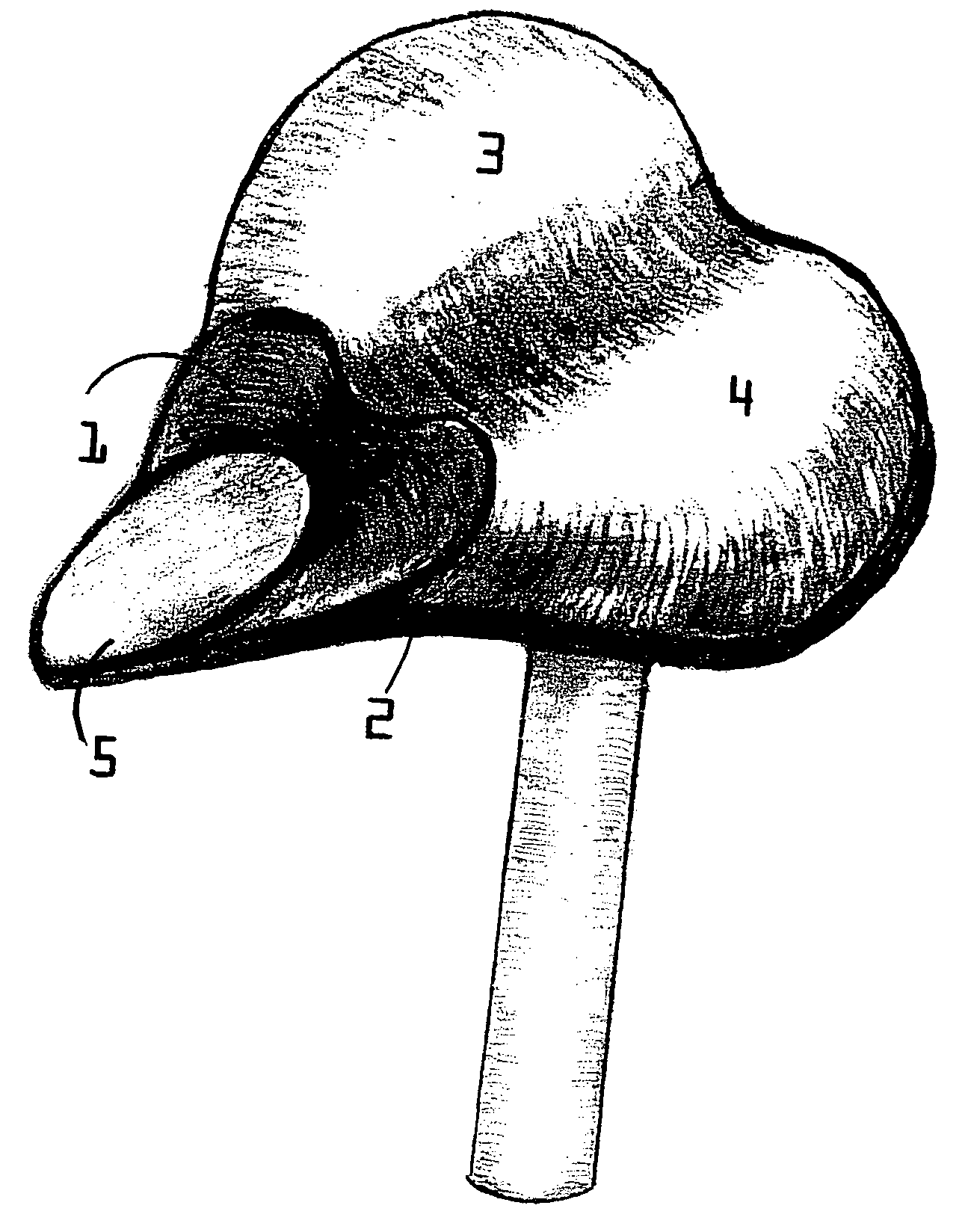 Male bike or exerciser seat