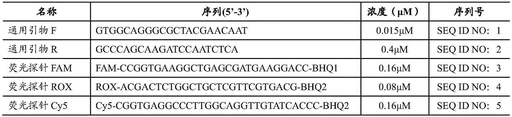 Kit capable of detecting 10 pathogenic vibrios simultaneously and detection method