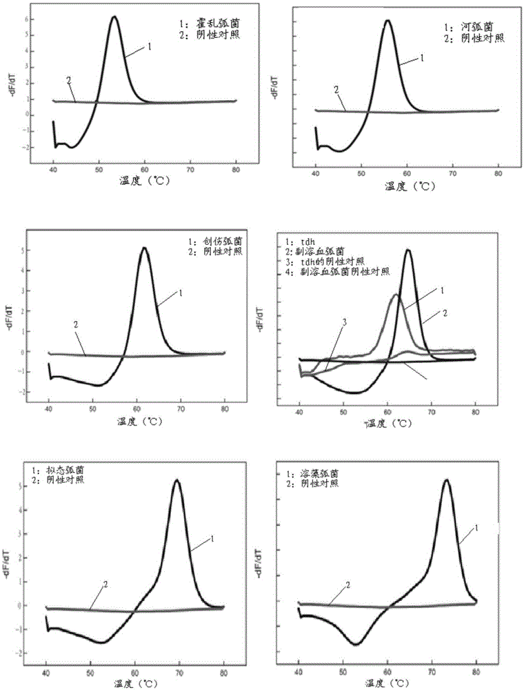 Kit capable of detecting 10 pathogenic vibrios simultaneously and detection method