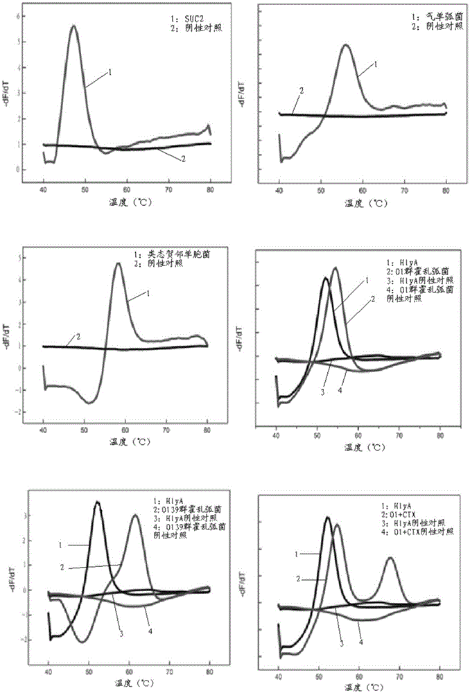 Kit capable of detecting 10 pathogenic vibrios simultaneously and detection method