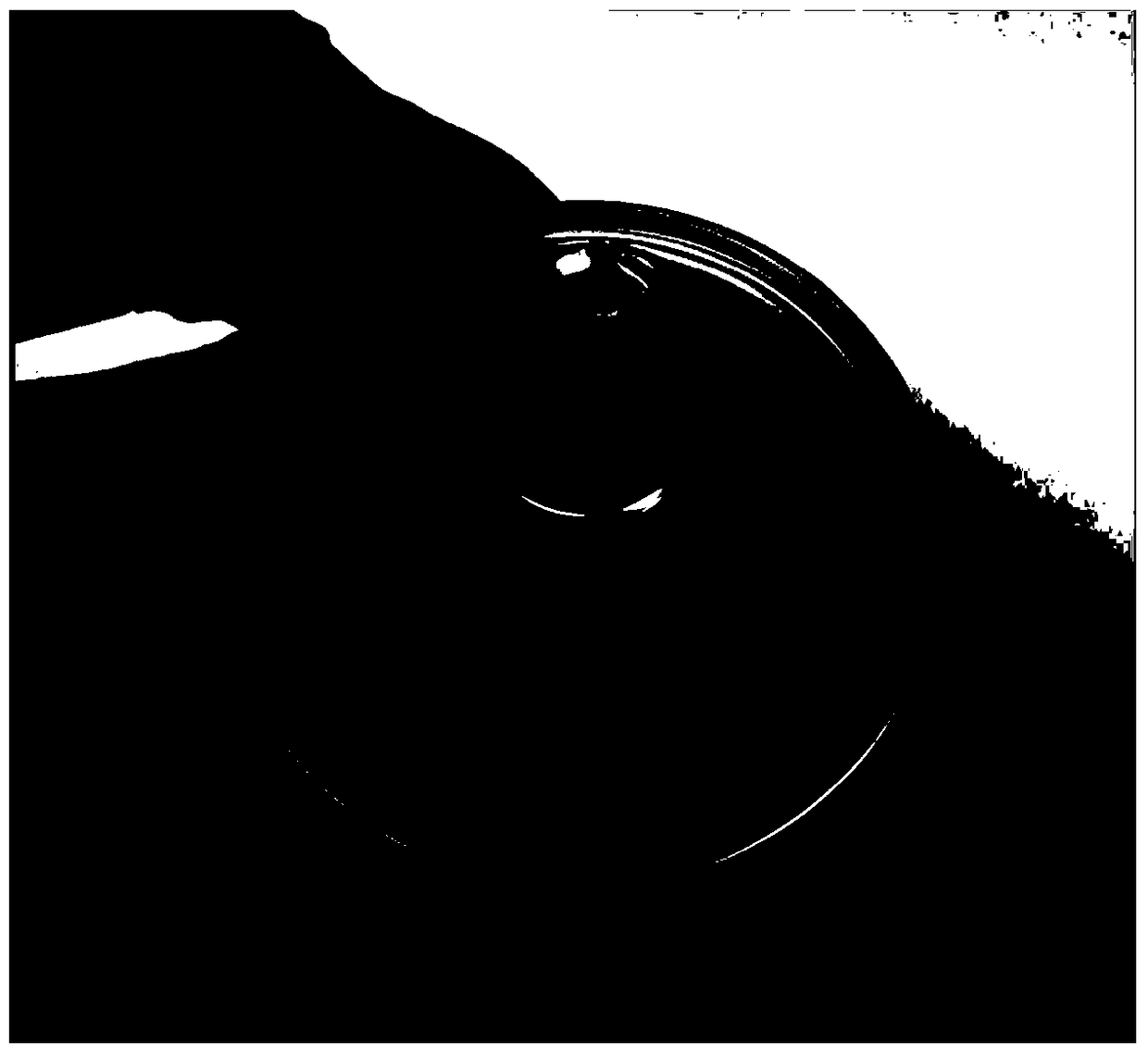 A Wipe Extraction-Surface Enhanced Raman Spectroscopy Film Applied to Rapid Detection of Explosives on Site, Its Preparation Method and Application