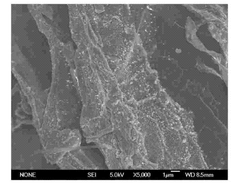 Nano iron oxide /graphite composite electromagnetic absorption material and preparation method thereof