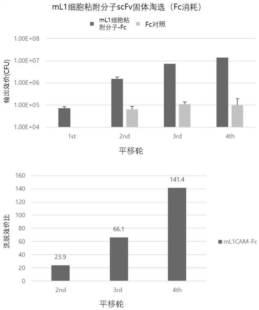 Anti-L1CAM antibody or antigen-binding fragment thereof and chimeric antigen receptor comprising same