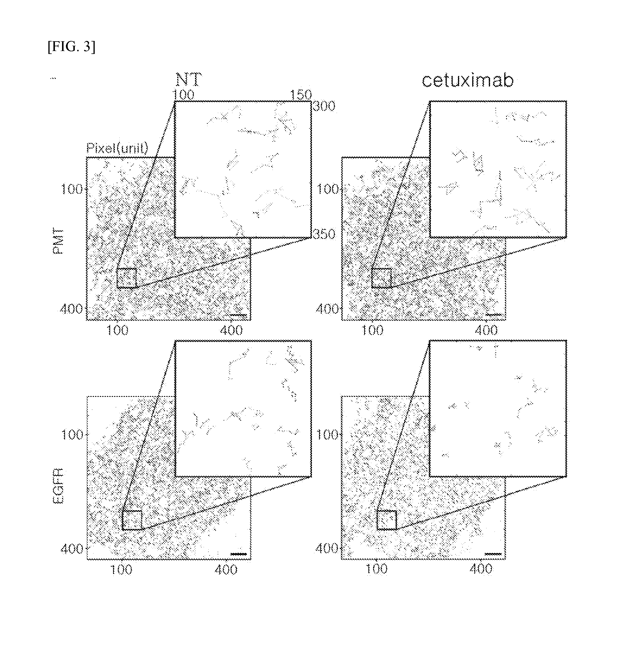 Method of analyzing binding aspect of membrane protein in a living cell