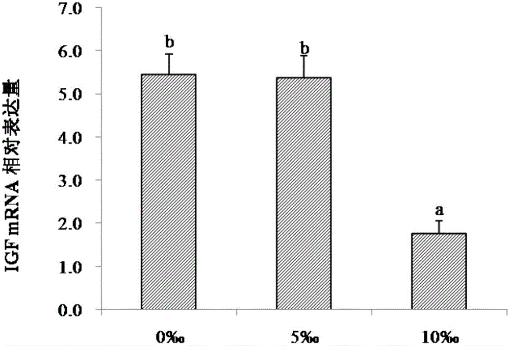 Low-salinity cultivating method for siniperca scherzeri steindachner fries