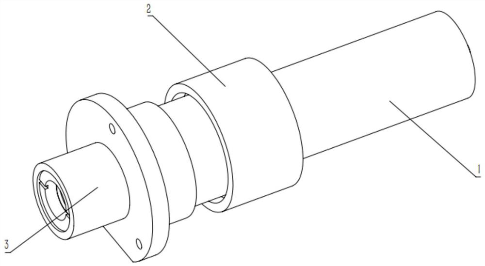 Incident light source lens cone device for multi-wavelength time-resolved fluorescence measurement device