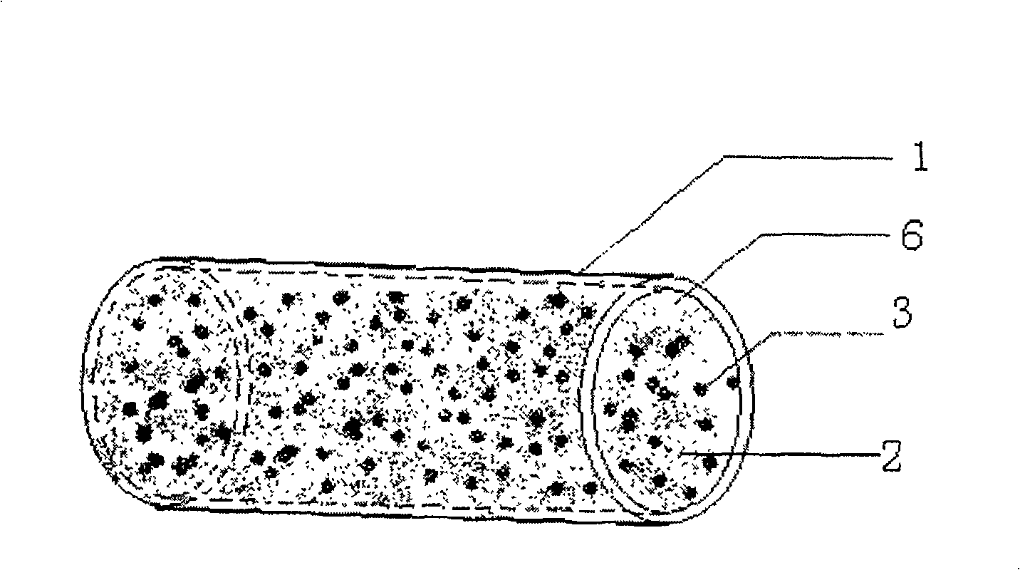 Composite structured tissue engineering cartilage graft and preparation method thereof