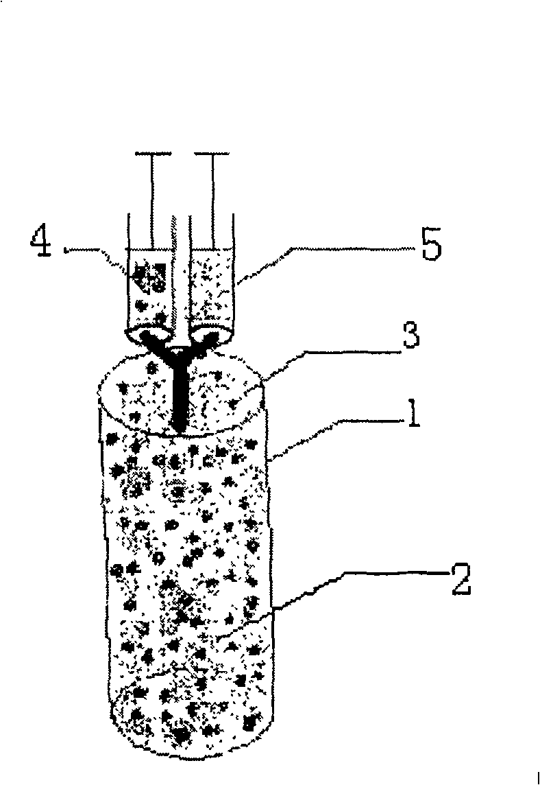 Composite structured tissue engineering cartilage graft and preparation method thereof