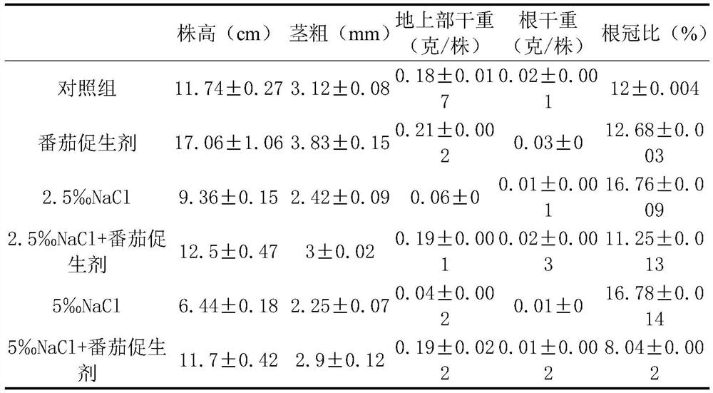 A kind of salt-tolerant growth-promoting bacterial strain y4 and its application