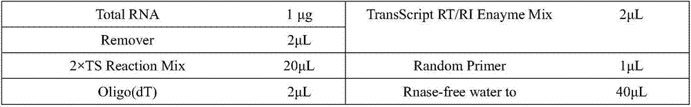 Method for improving content of salvianolic acid B in Salvia miltiorrhiza hairy root