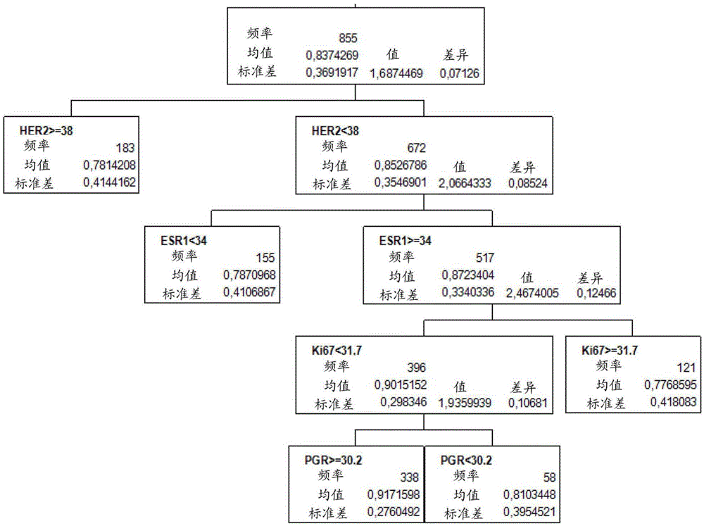 Methods and kits for the molecular subtyping of tumors