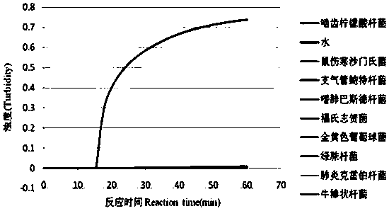 Primers for assaying citrobacter rodentium and kit thereof