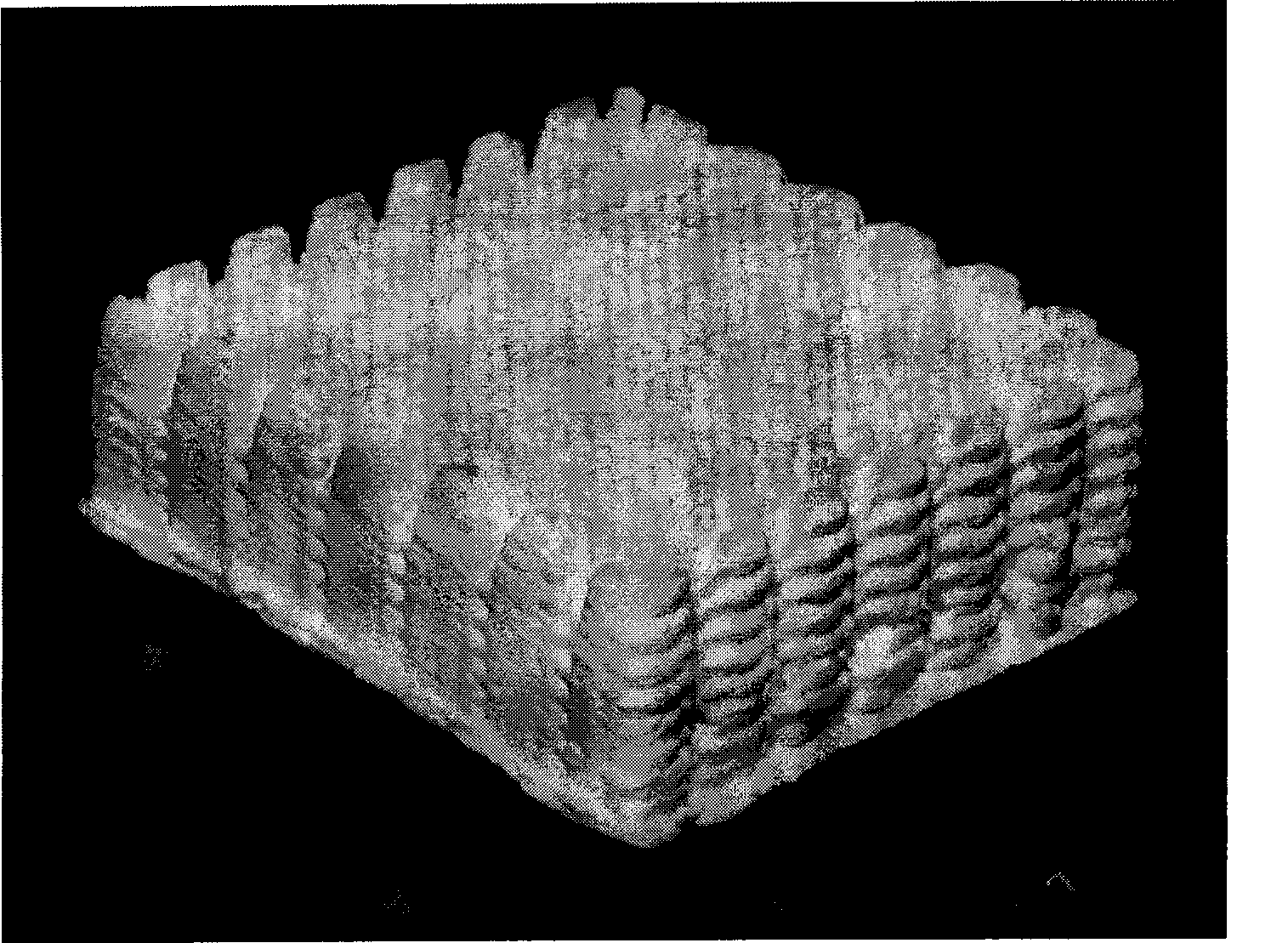 Pearl powder artificial bone supporting material with multi-stage micro-nano structure and technique for producing the same