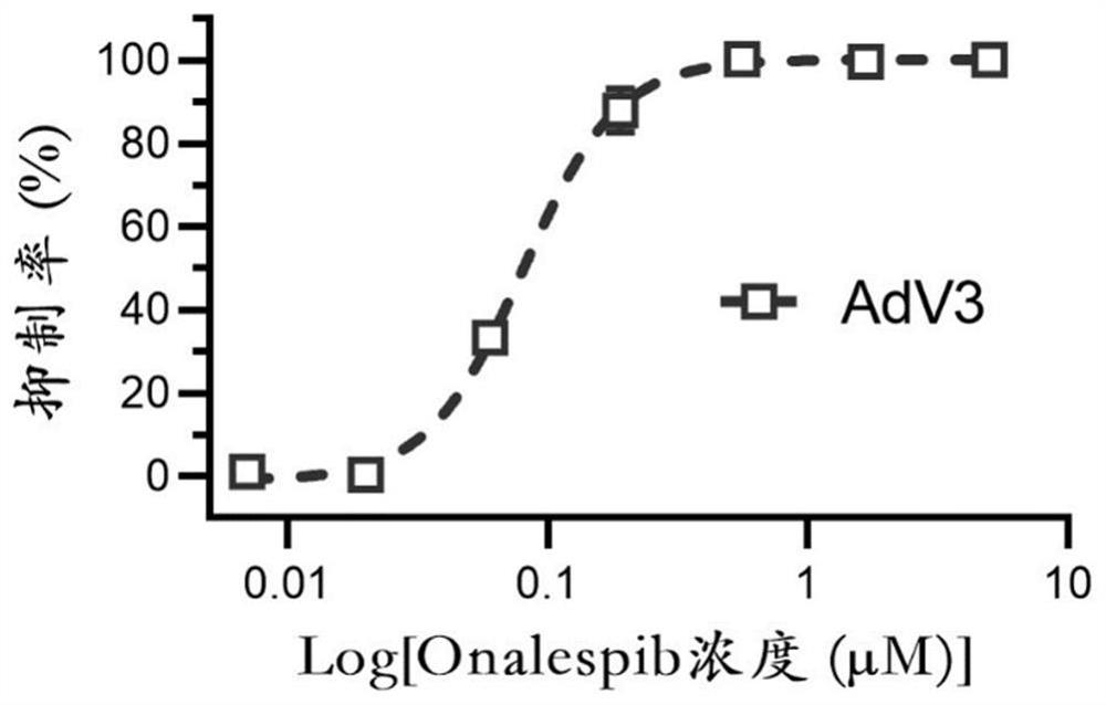 Application of Onalspib in preparation of medicine for preventing and/or treating adenovirus infection
