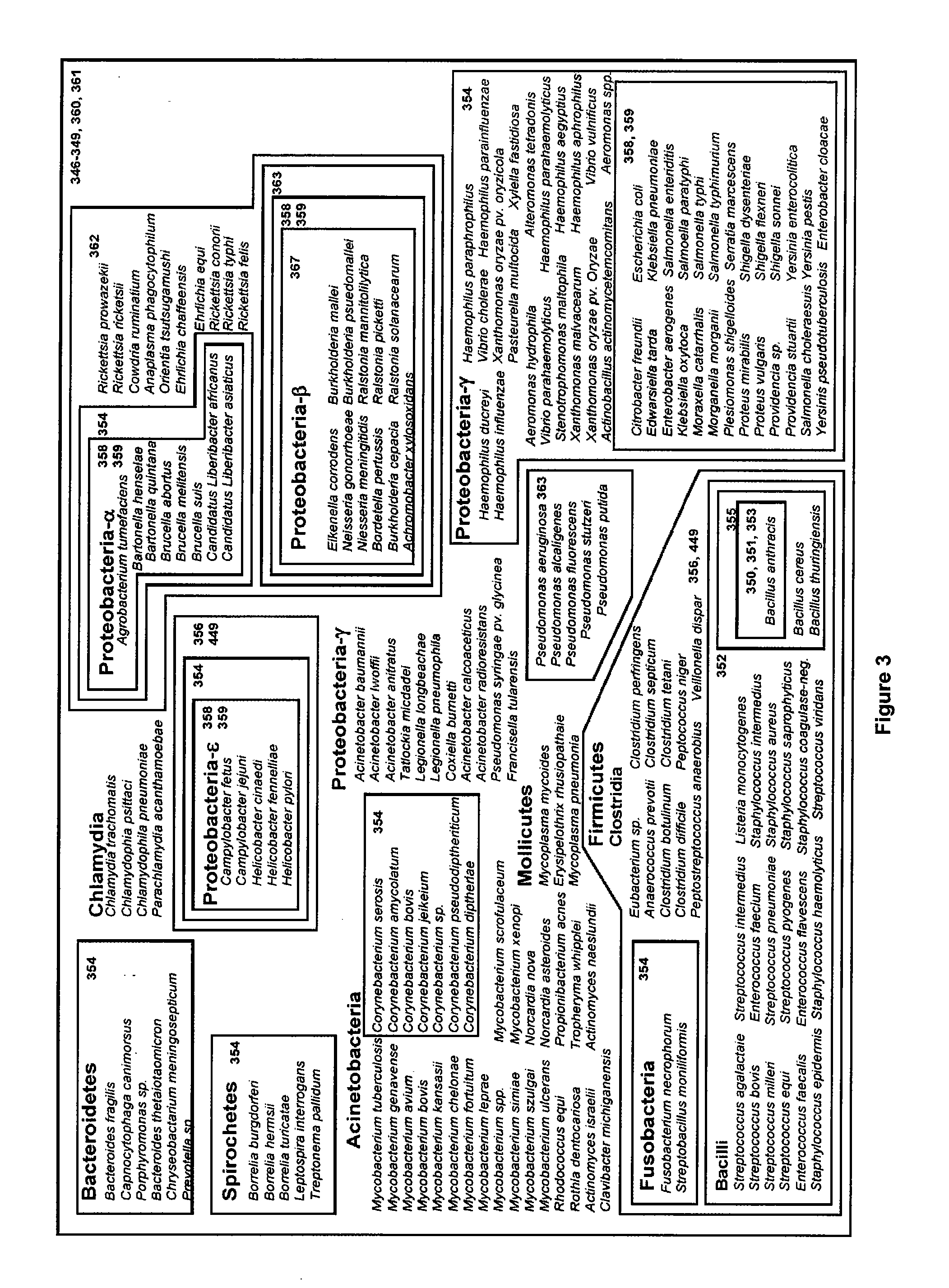 Compositions for use in identification of bacteria