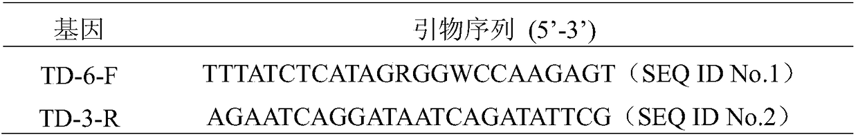 Early stage molecular detection and identification method and application for eight kinds of oophagous trichogrammae in trichogrammatidae family
