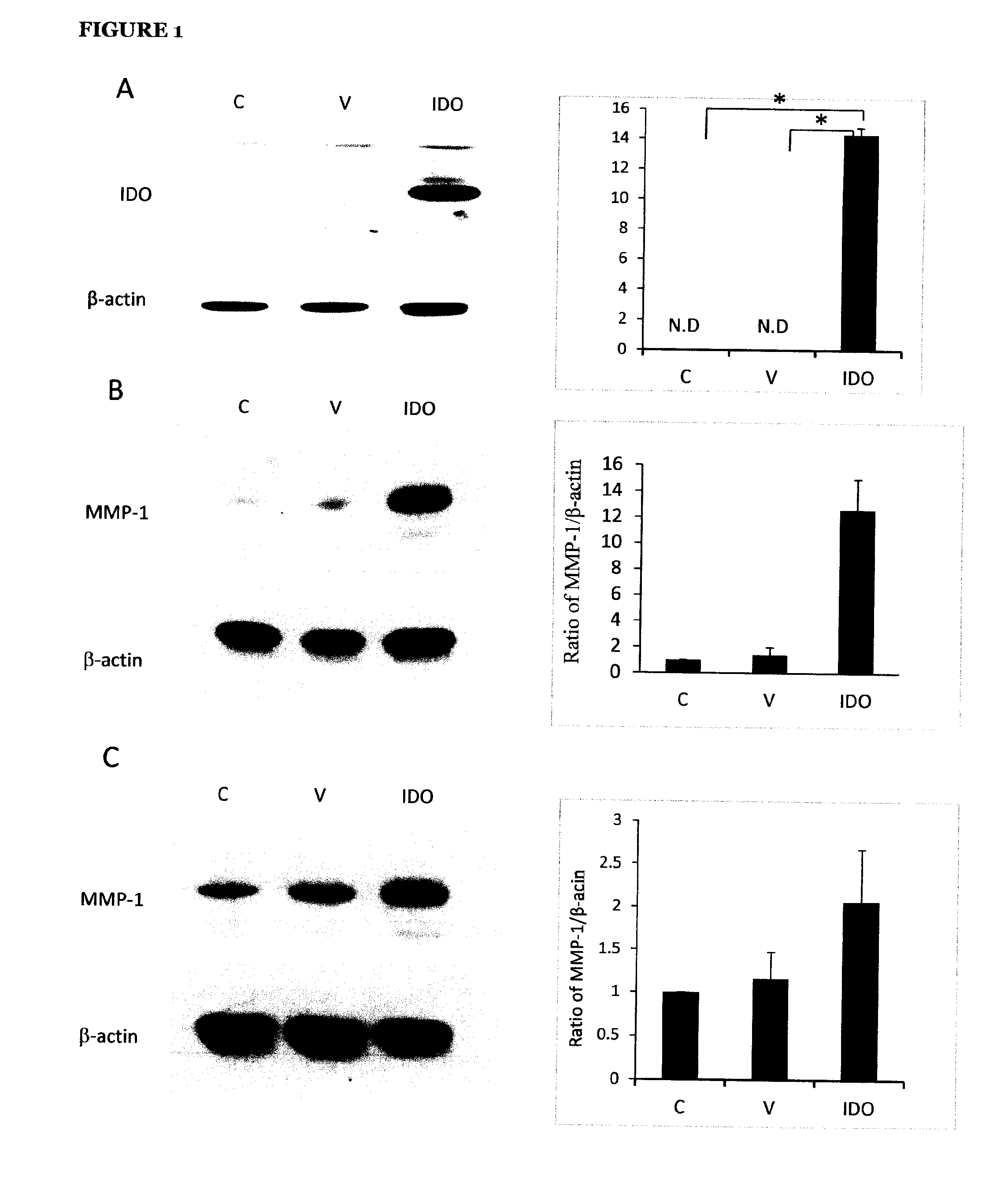 Anti-Fibrogenic Compounds, Methods and Uses Thereof