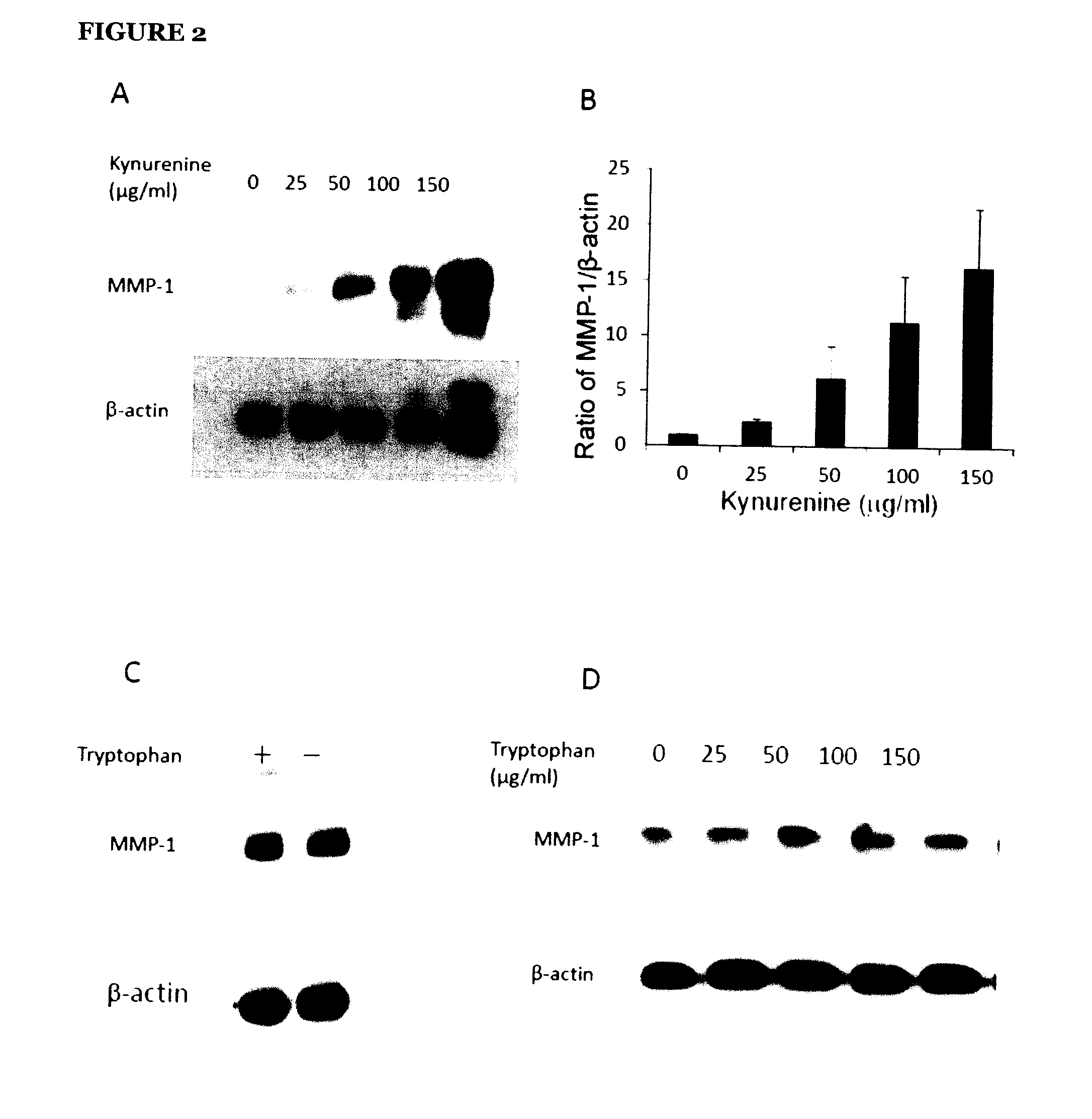 Anti-Fibrogenic Compounds, Methods and Uses Thereof
