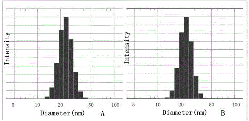 Docetaxel micelle drug load system and preparation method thereof