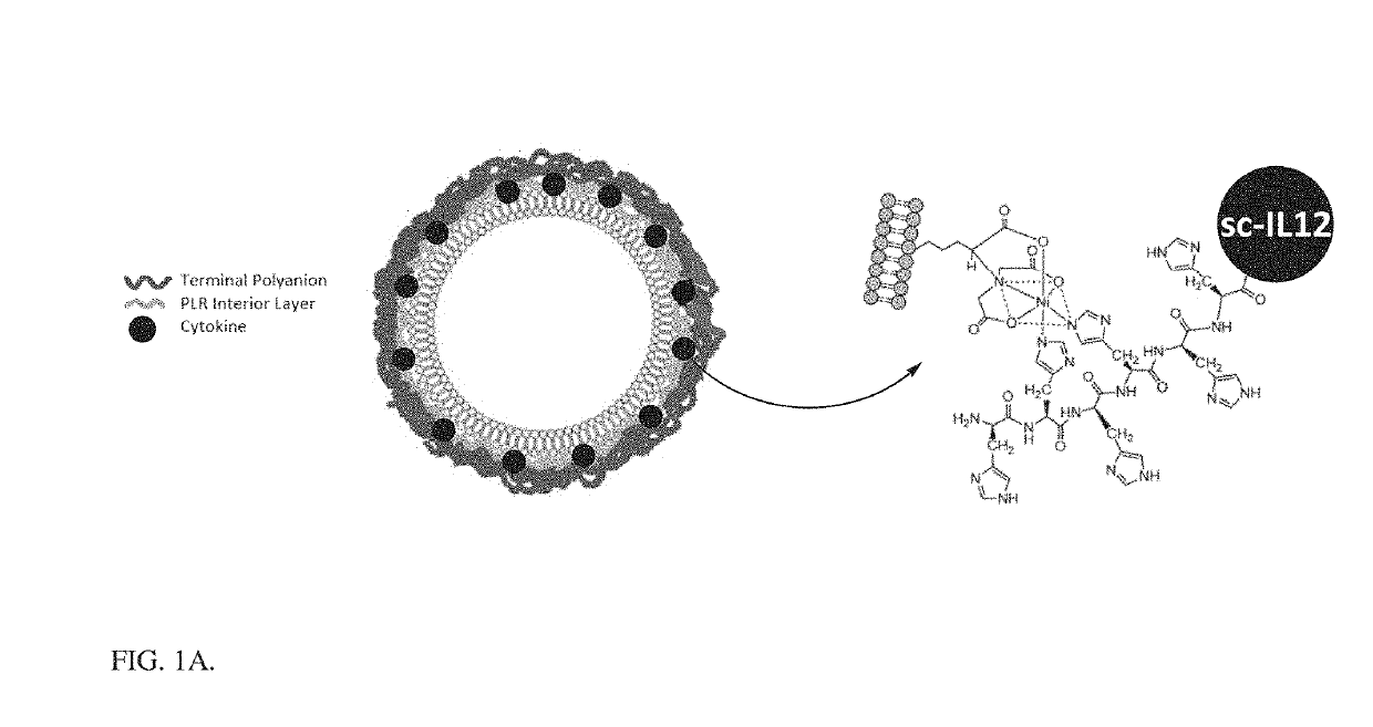 Layer-by-layer nanoparticles for cytokine therapy in cancer treatment