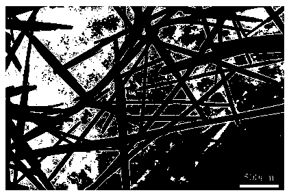 Method of preparing cadmium tungstate nanowire by microwave method