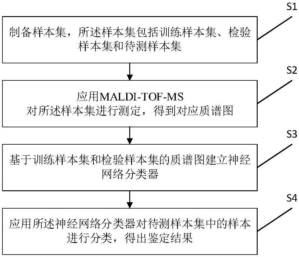 MALDI-TOF-MS-based dead slaughtered meat identification method and system