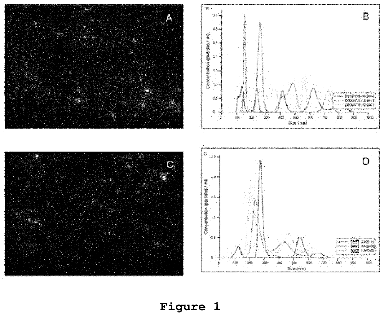 Vaccination with microvesicles derived from tumour cells for cancer treatment