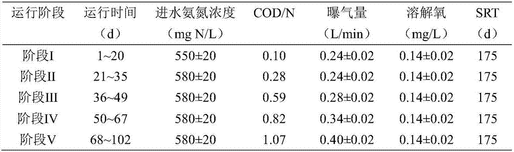 CANON (completely autotrophic nitrogenremoval over nitrite) for sewage with large fluctuating degree of COD/N (chemical oxygen demand/nitrogen)