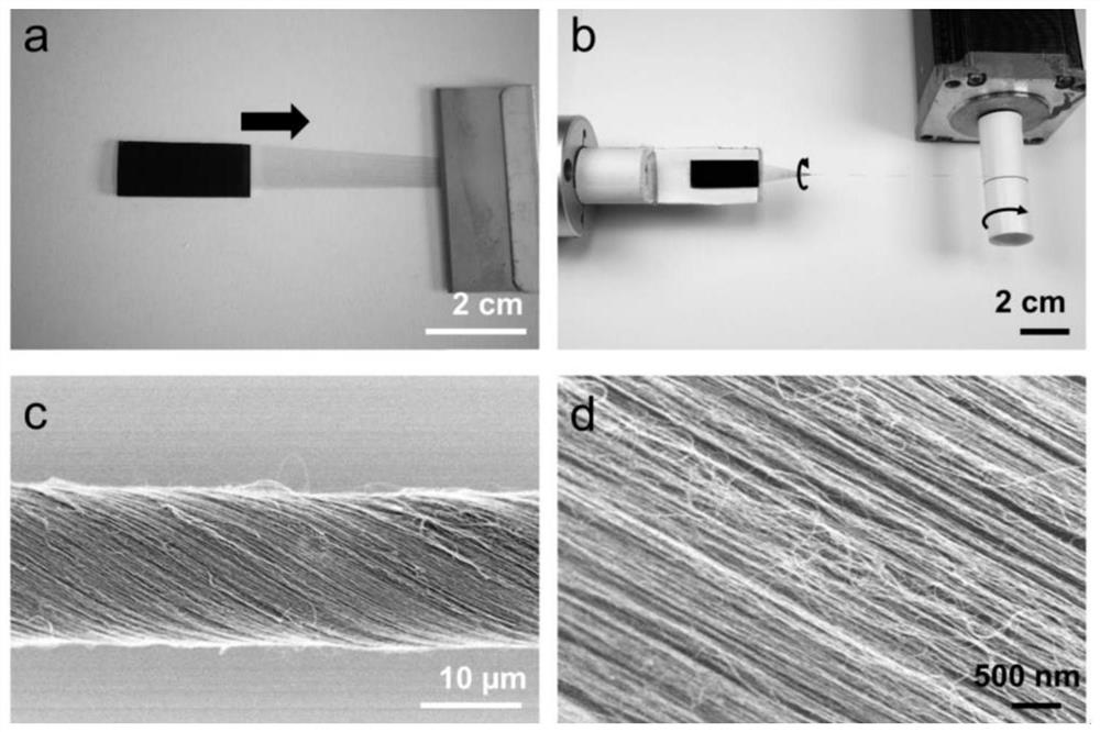 Implantable ligament substitute material based on oriented carbon nanotube fibers and preparation method of implantable ligament substitute material