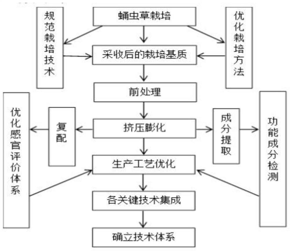 Functional brewing rice flour based on waste cordyceps militaris culture medium and preparation method of functional brewing rice flour