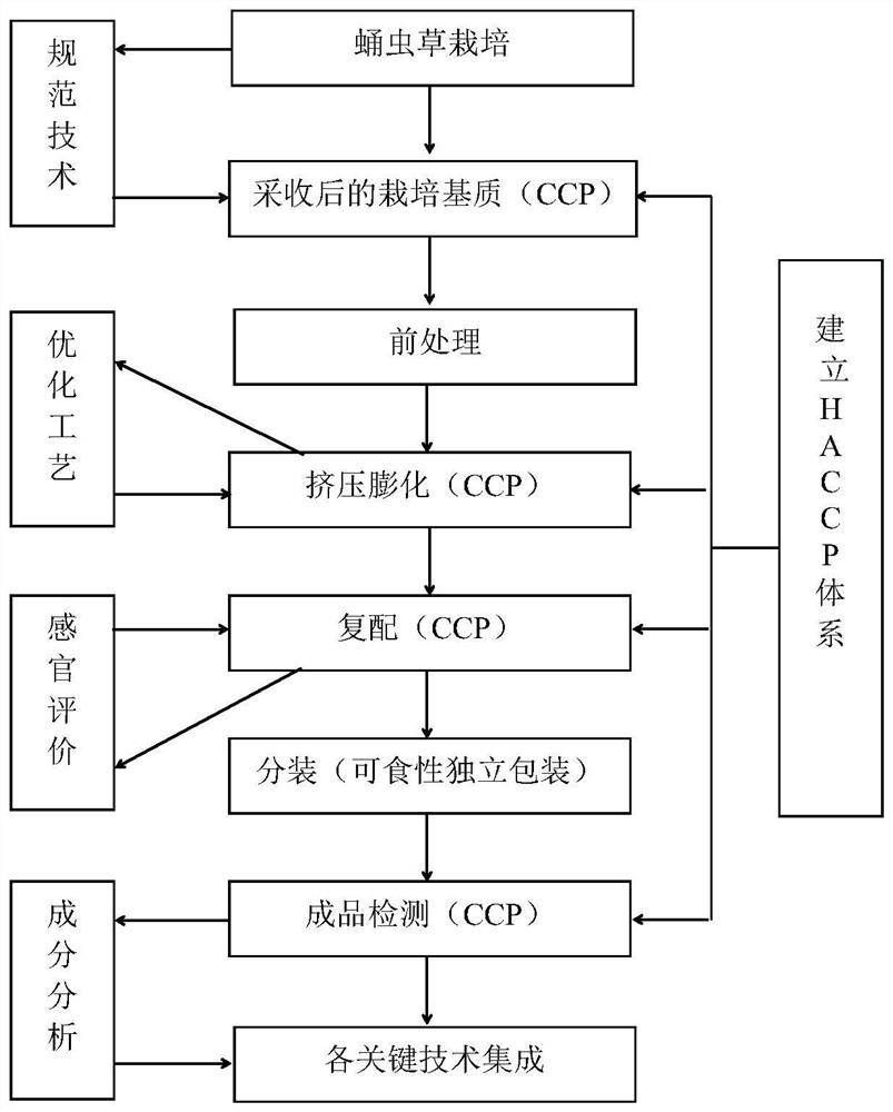 Functional brewing rice flour based on waste cordyceps militaris culture medium and preparation method of functional brewing rice flour