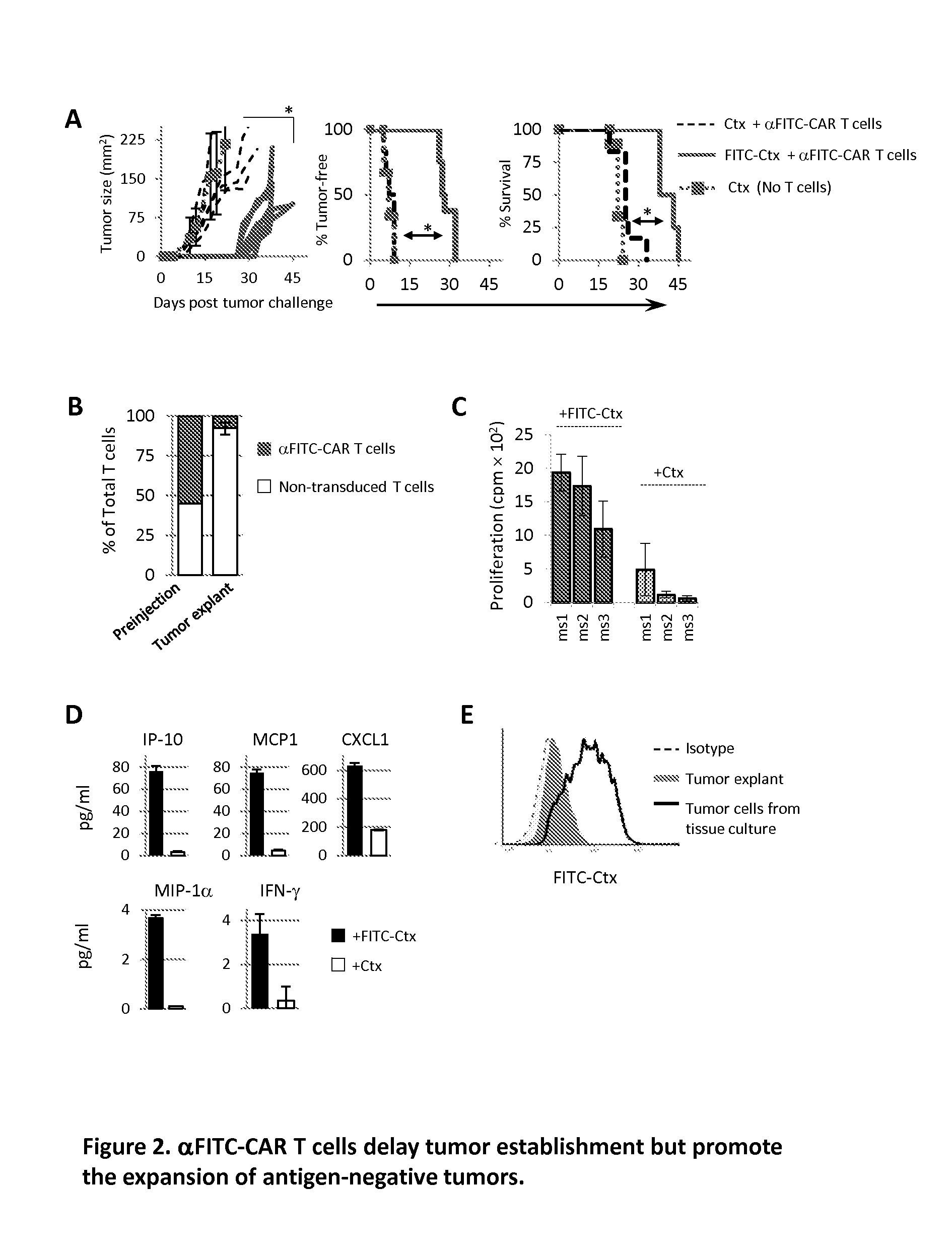 Universal Anti-tag chimeric antigen receptor-expressing t cells and methods of treating cancer