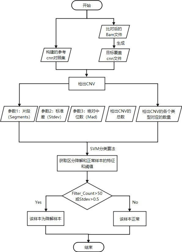 Method for judging sample degradation based on CNV result