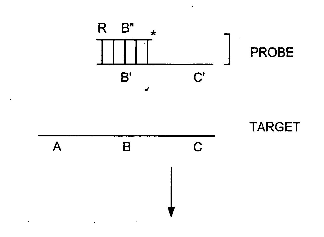 Methods for detection of a target nucleic acid by capture using multi-subunit probes