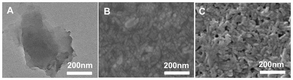 A kind of photocatalytic self-cleaning loose nanofiltration membrane and its preparation method and application