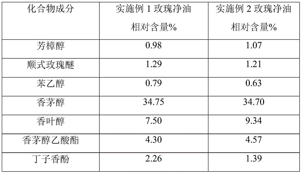 A kind of preparation method of rose absolute