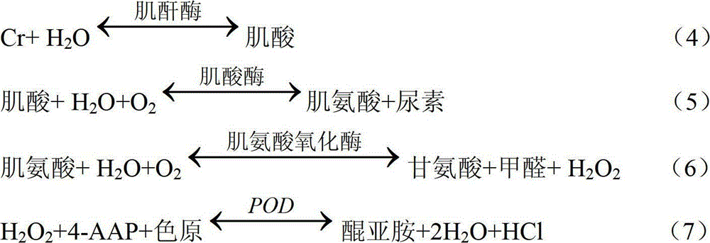 Two-step enzyme measuring method and measuring reagent for creatinine in blood serum