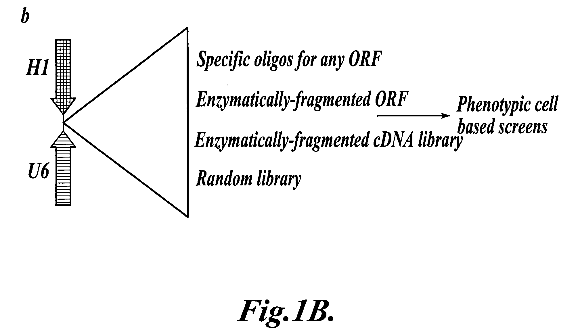 Methods and vectors for expressing siRNA